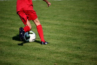 开云在线入口-中国足球职业俱乐部推动管理层岗位轮训制度，职业足球俱乐部训练计划